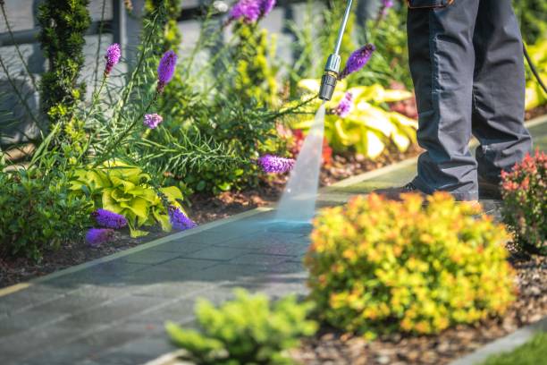  Charlestown, MD Pressure Washing Pros